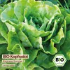 Samenliebe  Salat Samen | Kargraner Sommer 2 - schossfest - Produktbild-Vorschau 4