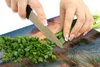 Hands chopping green onions on a cutting board with a beach sunset scene printed on it. Náhľad obrázku produktu