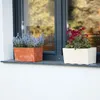 Blumenkasten mit praktischem Einsatz Blumentopf Länge: 39,5 Produktbild-Vorschau 10