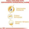Royal Canin Bengal Adult, Adult, Bengalen, Geflügel, Produktbild-Vorschau 4