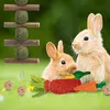 16 Stück Kaninchen Spielzeug Zubehoer Kleintier Spielzeug Produktbild-Vorschau 5