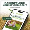 halmland Premium Schattenrasen Samen schnellkeimend 10kg = Produktbild-Vorschau 5
