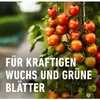 Compo Pilzfrei Revus 20 ml Produktbild-Vorschau 7