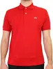 Lacoste Errores de Talla L1212-00-240 in Red color size 5 Produktbild-Vorschau 16