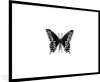 MuchoWow® Gerahmtes Poster Schmetterling - Tiere - Retro - Produktbild-Vorschau 1