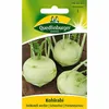 Quedlinburger Saatgut - Kohlrabi Delikateß weißer - Samen - Produktbild-Vorschau 3