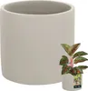KOTARBAU® Blumentopf Keramik groß Zylinder Ethno ⌀ 16 cm Produktbild-Vorschau 1