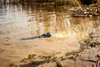 A flashlight is floating in shallow, murky water near the shore. Produktbild-Vorschau
