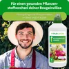Purgrün Bougainvillea-Dünger 1 Liter Produktbild-Vorschau 2