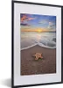 MuchoWow® MuchoWow® Gerahmtes Poster Seestern - Meer - Produktbild-Vorschau 1