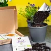 Seedhero  Essbare Blüten Blumensamen-Set mit 10 Sorten Produktbild-Vorschau 7