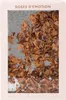 Fragrance World Roses D'Emotion Eau de Parfum 100ml Produktbild-Vorschau 2