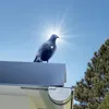 Realistische Vogelabwehr Krähe mit Sound: Produktbild-Vorschau 10
