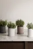 Blomus Pot à herbes L Nona Micro Chip, pot de fleurs, Voir les images du produit 2