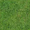 OUTDOOR DEKOSTOFFE OXFORD - Motiv Gras Produktbild-Vorschau 1