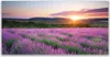 Acrylglasbilder 120x60 Wandbild Druck Sonne Wiese Blumen Produktbild-Vorschau 1