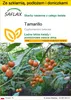 SAFLAX - Zestaw do uprawy - Tamarillo - 50 Nasiona - Z mini Podgląd zdjęcia produktu 1