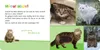 Hör mal rein, wer kann das sein? - Kuschelige Tiere Voir les images du produit 5