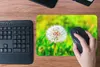 MuchoWow® Mauspad Mousepad Löwenzahn - Gras - Blume 27x18 Produktbild-Vorschau 4