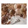 Hoptimist Bumble, Sammelfigur Produktbild-Vorschau 2