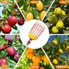 Apfelpflücker, Obstpflücker mit Metallkorb und Produktbild-Vorschau 9