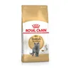 Royal Canin Fbn British Shorthair 10Kg, 550756464 Podgląd zdjęcia produktu 2