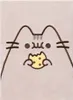 Pusheen Zeszyt A5 Pamiętnik dla Dziewczynek Pluszowy Podgląd zdjęcia produktu 1