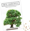 Exotische Bonsai Samen mit hoher Keimrate - Pflanzen Samen Produktbild-Vorschau 1