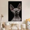 MuchoWow® Poster Katze - Sphynx - Schwarz 120x180 cm - Produktbild-Vorschau 7