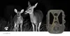 Nedis Wildlife Kamera - 4K@10fps - 50 MPixel - 8 MPixel Produktbild-Vorschau 5