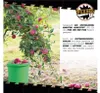 Eimer mit Deckel 10 L | Vorratseimer | Lebensmittelecht Produktbild-Vorschau 10