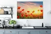 MuchoWow® - Leinwandbilder - Mohnblumen - Frühling - Produktbild-Vorschau 4
