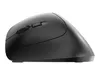CHERRY MW 4500 - Maus - ergonomisch - Für Rechtshänder - Produktbild-Vorschau 24
