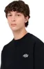 dickies felpa uomo dickies summerdale sweatshirt - dk0a4y6q Anteprima dell’immagine prodotto 17