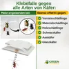 Käfer Falle mit Spezial-Lockstoff – 3x Fallen – Sicher & Produktbild-Vorschau 2