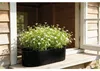 Blumenkasten Lafiora oval Metall 29 x 15,5 x 9,5 cm schwarz Produktbild-Vorschau 4