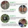 hochdruck wurzelwachstumsboxen – 20er set pflanzen Produktbild-Vorschau 4