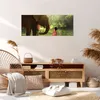 Bild auf Leinwand - Leinwandbild - Elefant Tier - 120x50cm Produktbild-Vorschau 7