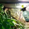 A chameleon is in a terrarium, and a hand is spraying it with water from a mister. Anteprima dell’immagine prodotto