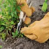 Esschert Design Edelstahl Obst und Blumenschere; GT13 Produktbild-Vorschau 5