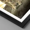 Gerahmtes Poster - Schwarzer Rahmen - Löwen Sonnenuntergang Produktbild-Vorschau 2