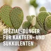 COMPO 14064 COMPO Concime per cactus e succulente, flacone Anteprima dell’immagine prodotto 7