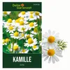 Kamille Echte Samen - Matricaria recutita - Kamillesamen - Produktbild-Vorschau 1