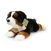 Plüsch Berner Sennenhund 30 cm Produktbild-Vorschau 5