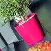 Prosperplast Pflanzentopf/Blumentopf - Kunststoff - matt Produktbild-Vorschau 4