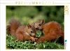 CALVENDO Puzzle Jacky und Jack | 1000 Teile Lege-Größe Produktbild-Vorschau 2