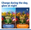 Maximex Solar Gartenfigur Frosch Mod. Blinky Eyes mit LED Produktbild-Vorschau 6