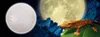 A gecko is shown in front of a moonlit background with blue rocks. Produktbild-Vorschau