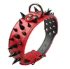 Breites Hundehalsband aus Leder mit Spikes - rot, Größe L Produktbild-Vorschau 5