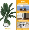 XINZI 2 Stück Pflanzenroller Pflanzenrolle Metall, 30 cm Produktbild-Vorschau 7